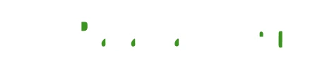 Palawan Credit Logo