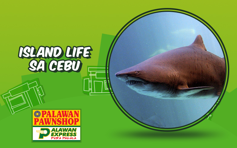 Island life sa Cebu