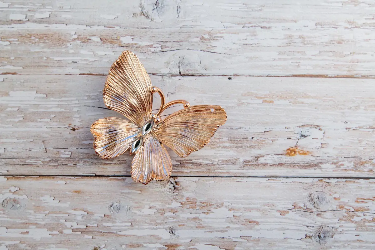 Gentle-decorative-butterfly-placed-on-wooden-surface