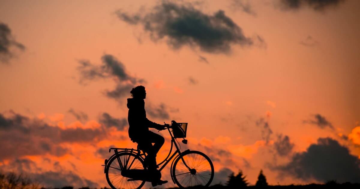 pexels-pixabay-37836